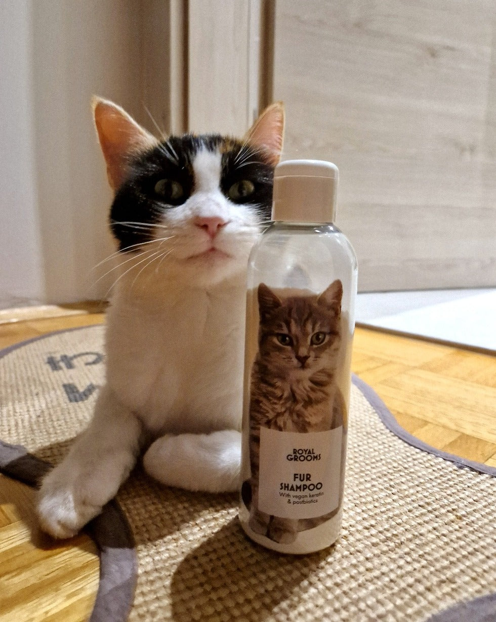 Fur Shampoo