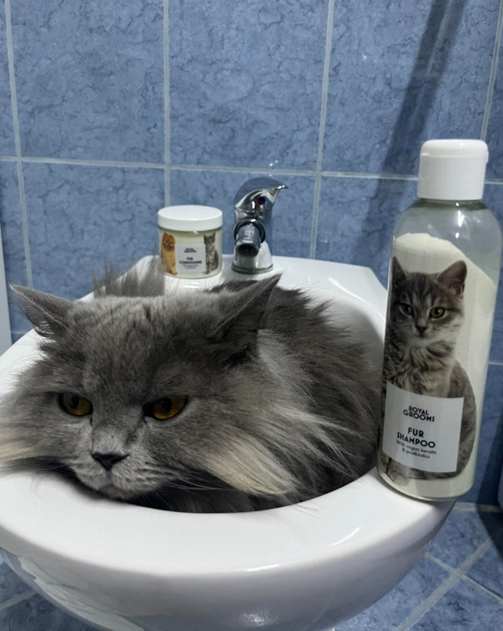 Fur Shampoo