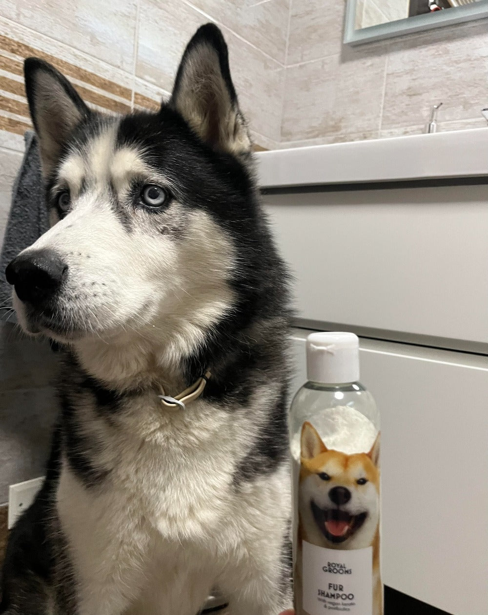 Fur Shampoo